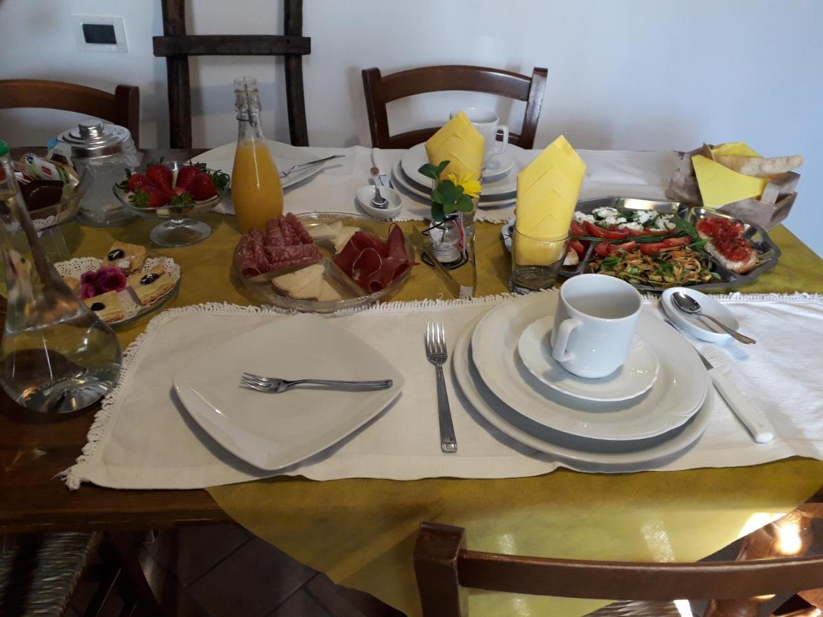 Agriturismo Campo Alla Piana Villa Монтикело Екстериор снимка