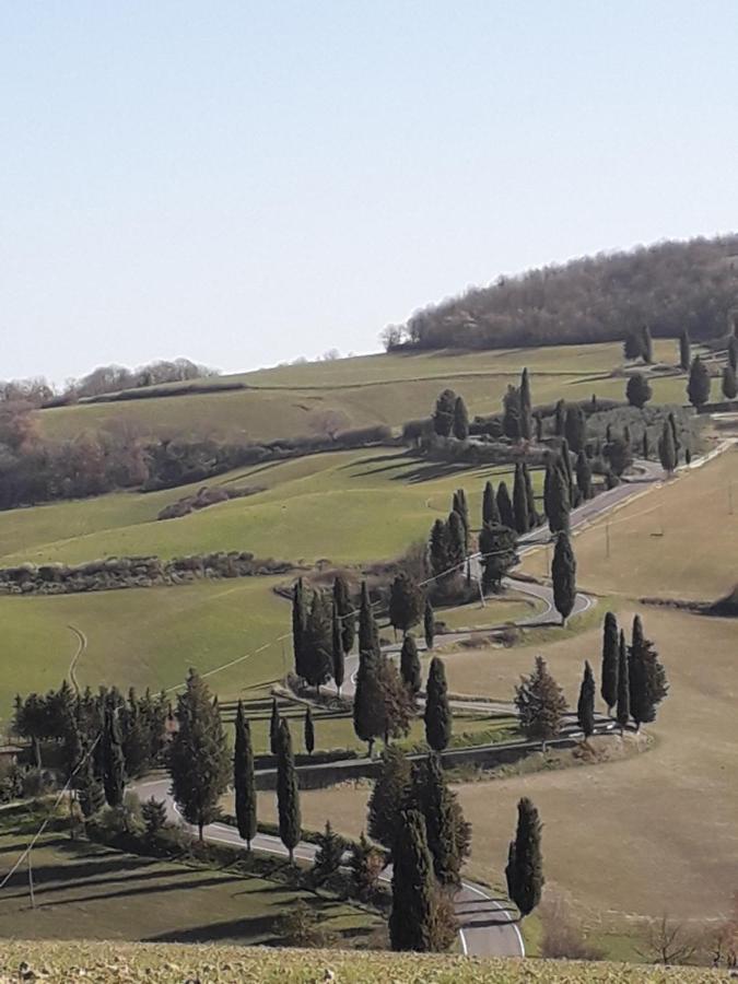 Agriturismo Campo Alla Piana Villa Монтикело Екстериор снимка