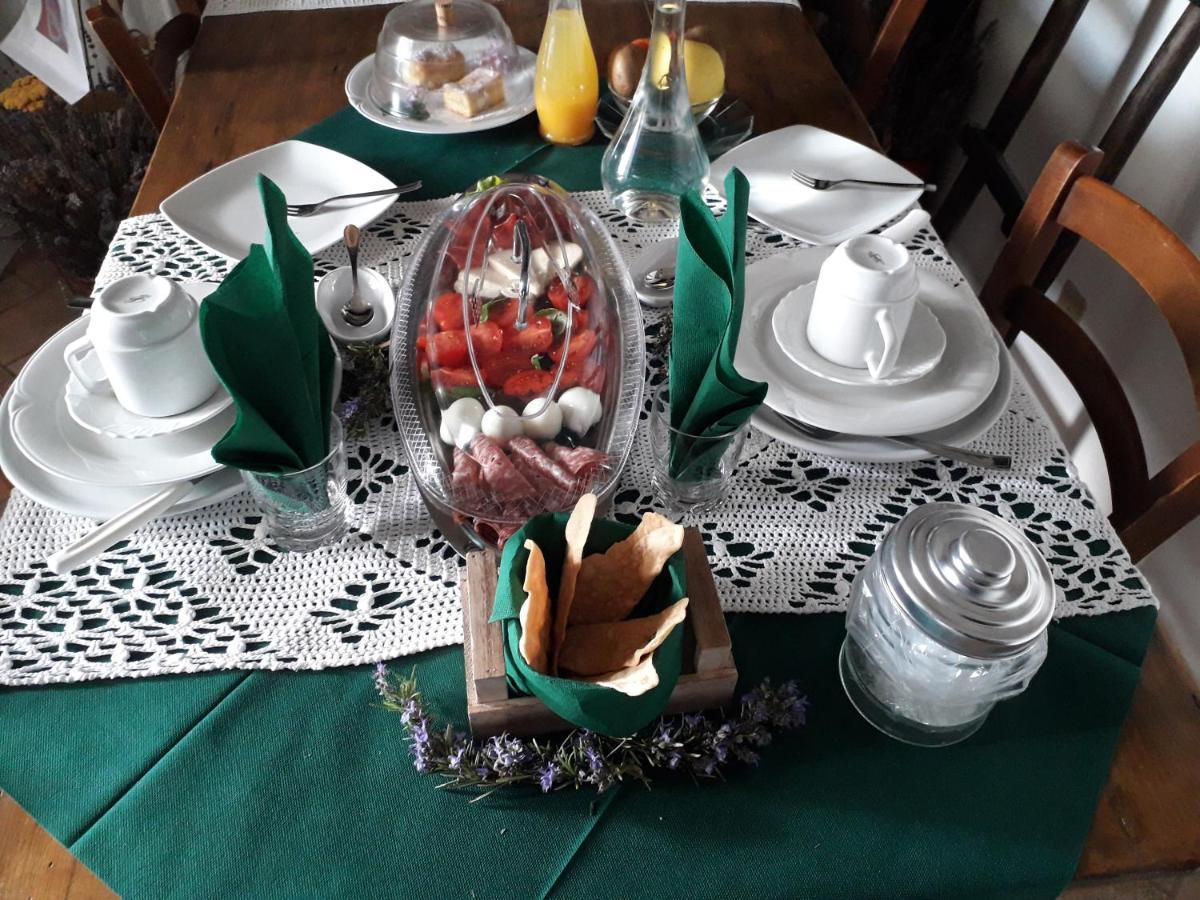 Agriturismo Campo Alla Piana Villa Монтикело Екстериор снимка