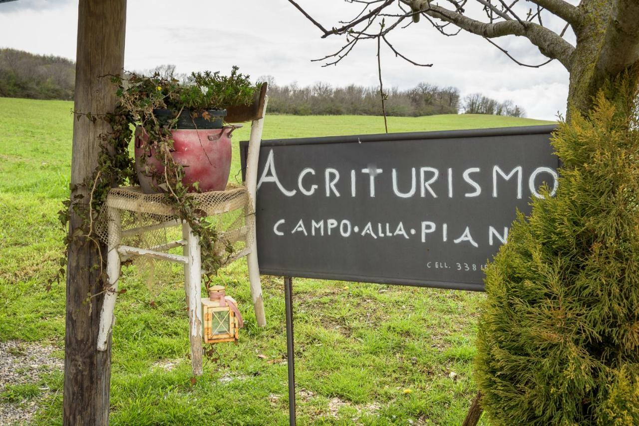 Agriturismo Campo Alla Piana Villa Монтикело Екстериор снимка