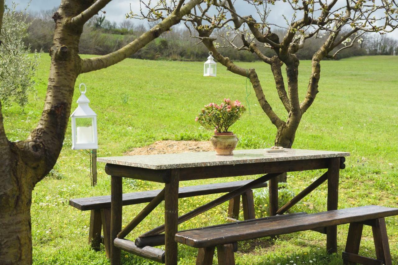 Agriturismo Campo Alla Piana Villa Монтикело Екстериор снимка