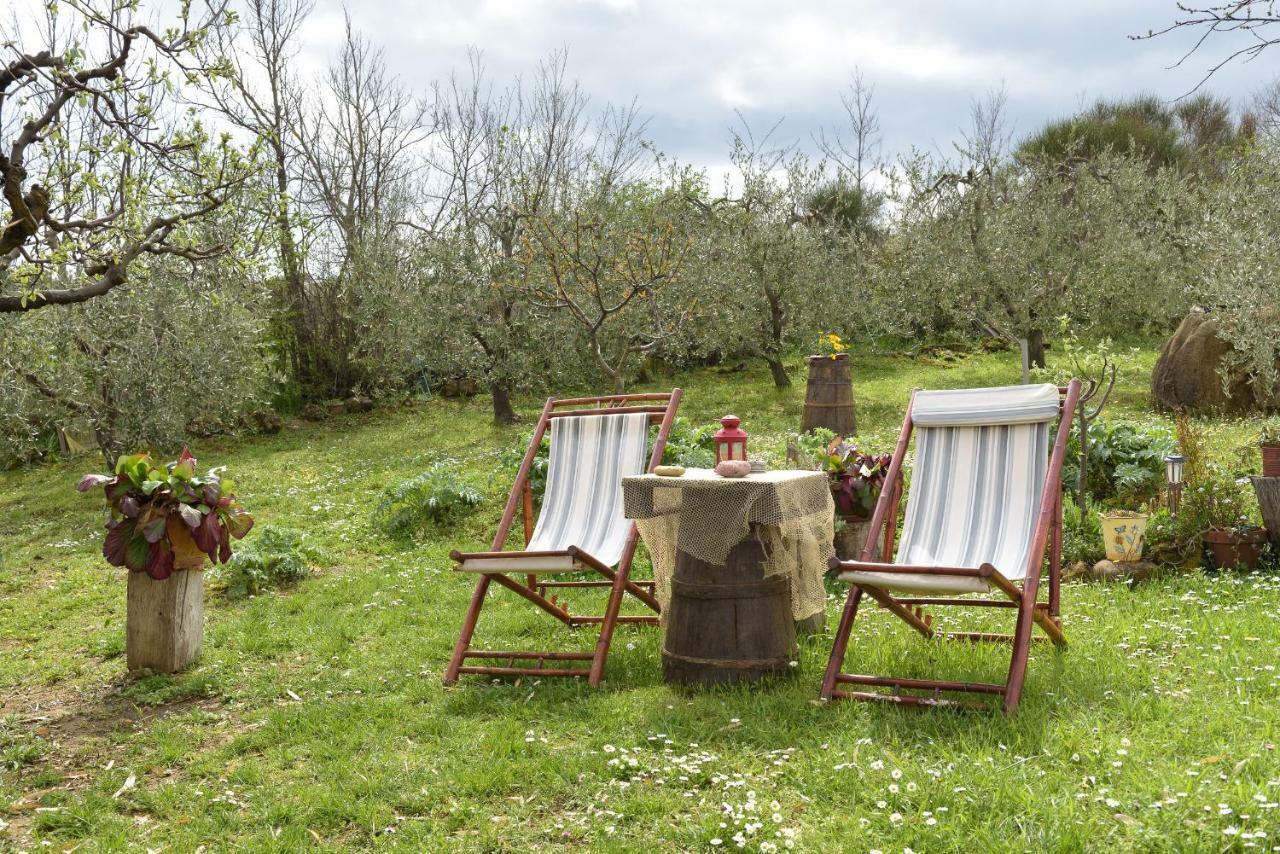 Agriturismo Campo Alla Piana Villa Монтикело Екстериор снимка