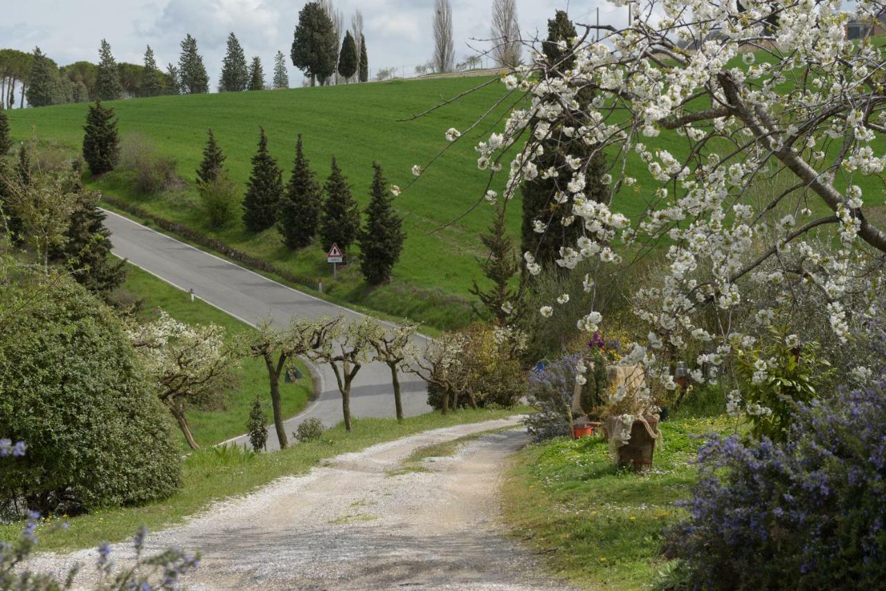 Agriturismo Campo Alla Piana Villa Монтикело Екстериор снимка