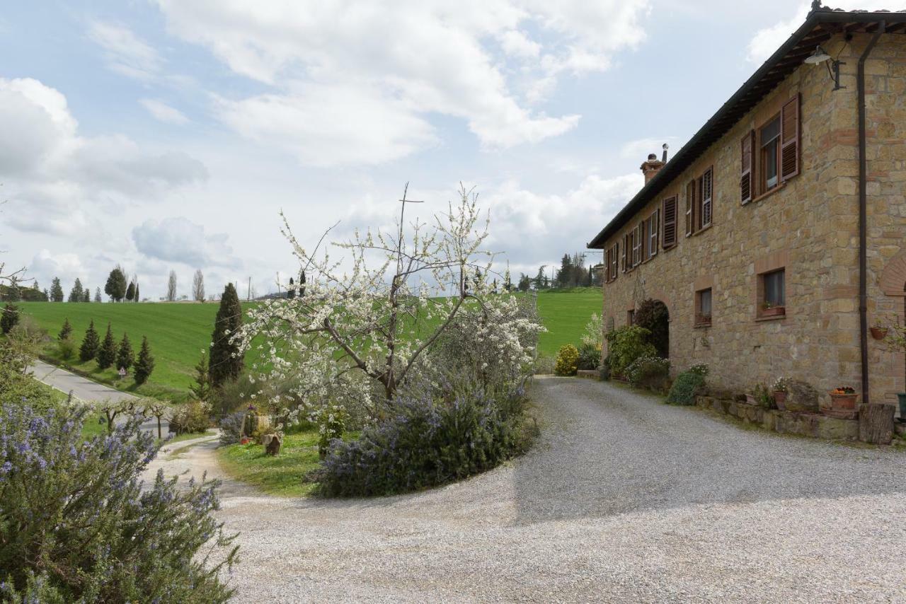 Agriturismo Campo Alla Piana Villa Монтикело Екстериор снимка